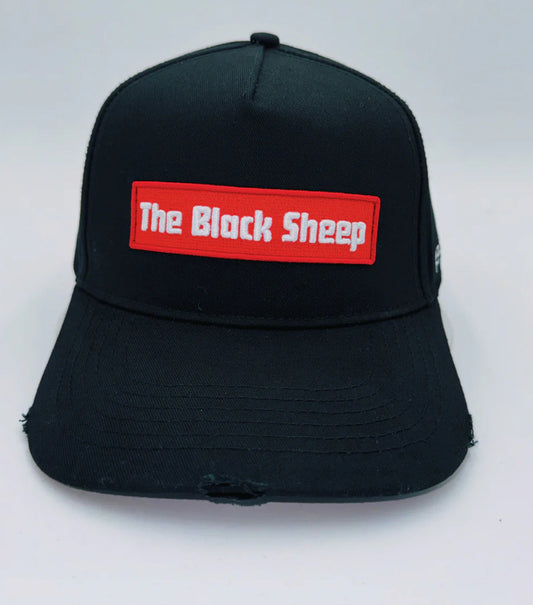 “the black sheep “